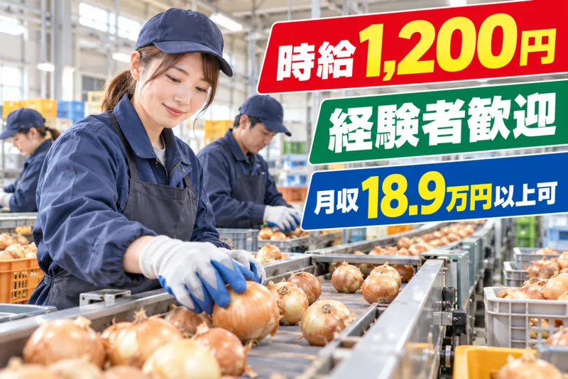 エクセル株式会社(北海道)のアルバイト・バイト求人情報