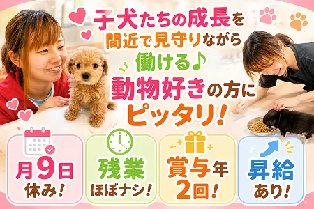 犬の家 滋賀パピーセンターの求人・転職情報