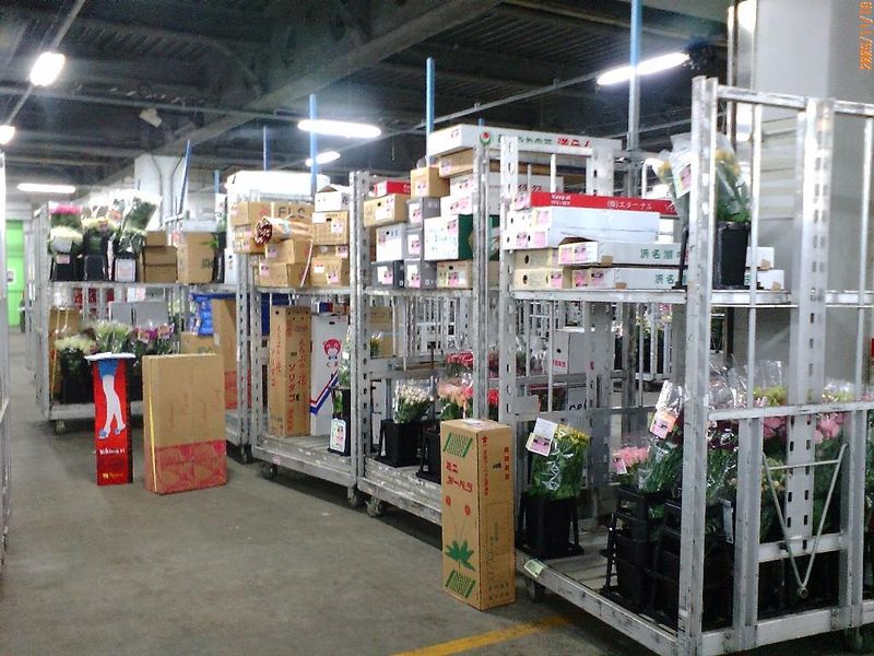 有限会社モンキーポッドの求人・転職情報