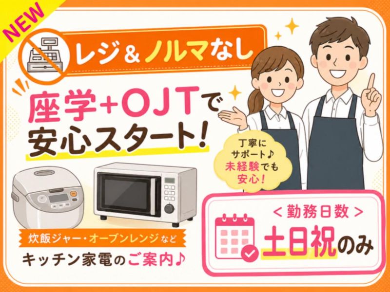 株式会社フィールドマーケティングシステムズ・池袋駅周辺の家電量販店/2510C22boztiのアルバイト・バイト求人情報-02