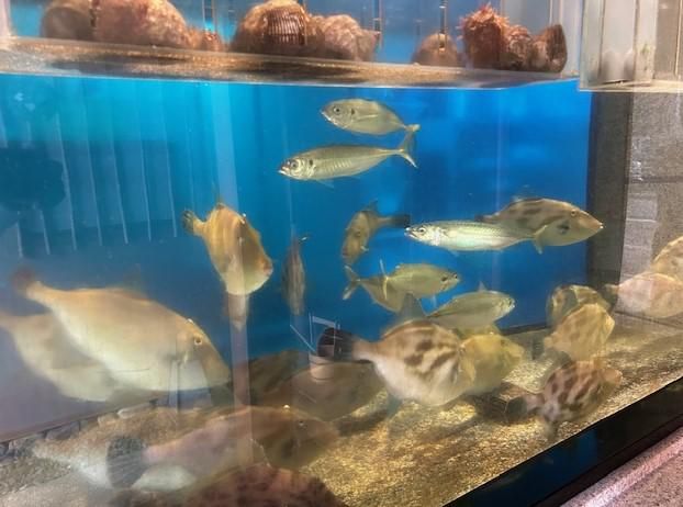 株式会社西村　安芸茶寮の求人・転職情報