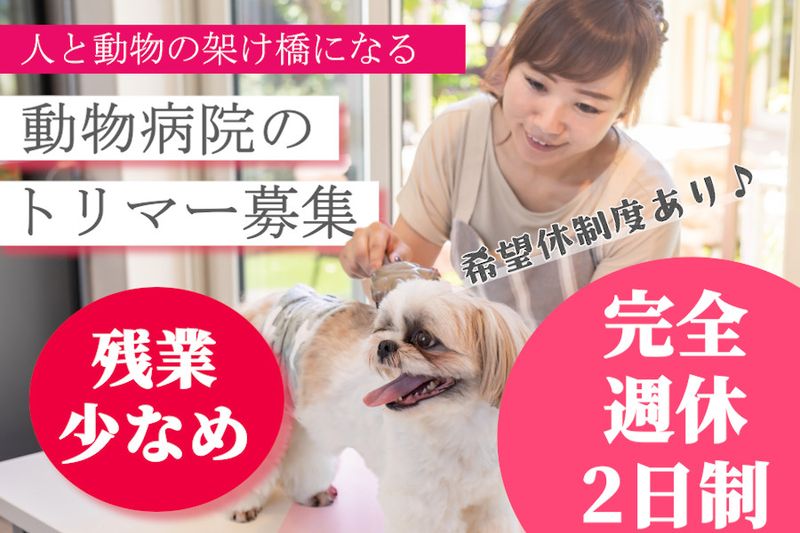 ブンブン動物病院の求人・転職情報