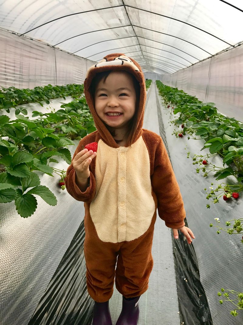 有限会社三共農園　加賀フルーツランドのアルバイト・バイト求人情報-03