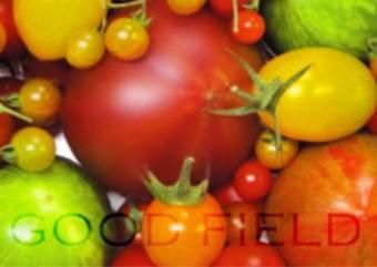 株式会社グッドフィールドの求人・転職情報