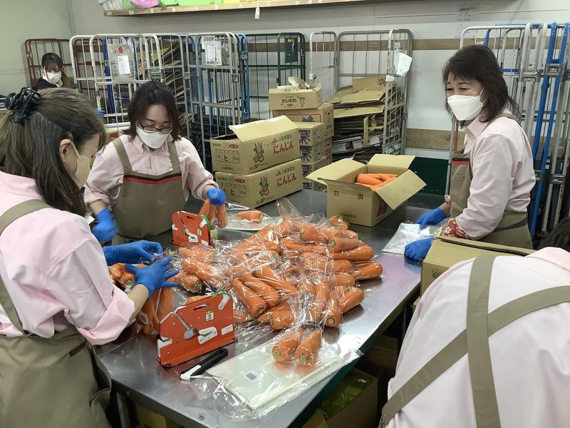 ルミエール筑紫野店の派遣求人情報