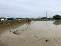 トーエイ株式会社の求人・転職情報