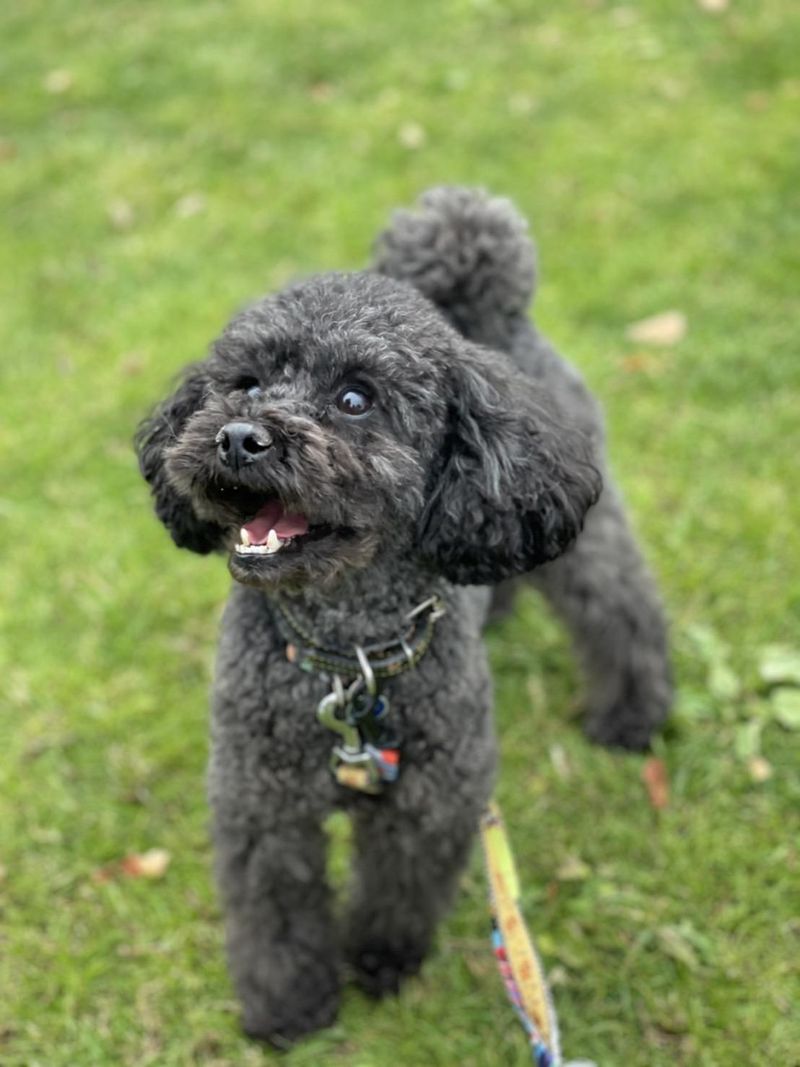 学校法人爽青会の求人・転職情報