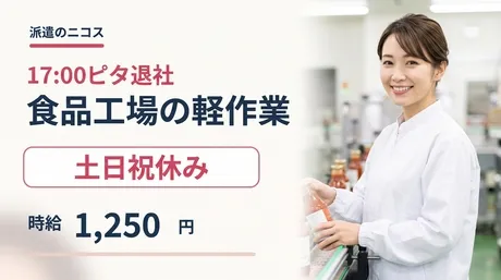 派遣のニコス(日本コンピューターシステム株式会社)のアルバイト・バイト求人情報