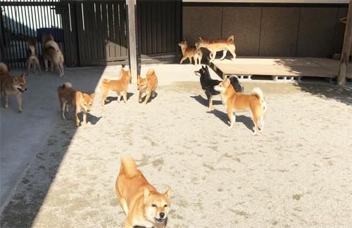 豆スケ豆プー　岡山ふるさと舎の求人2