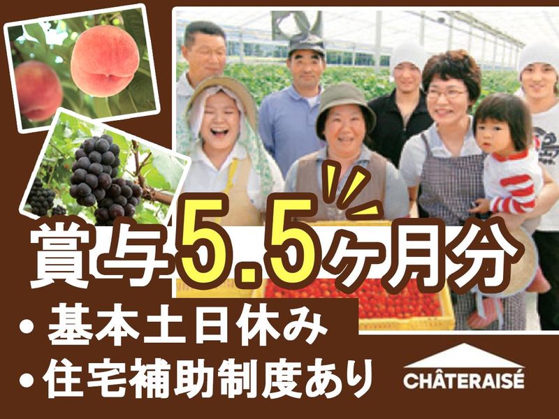 株式会社シャトレーゼの求人・転職情報