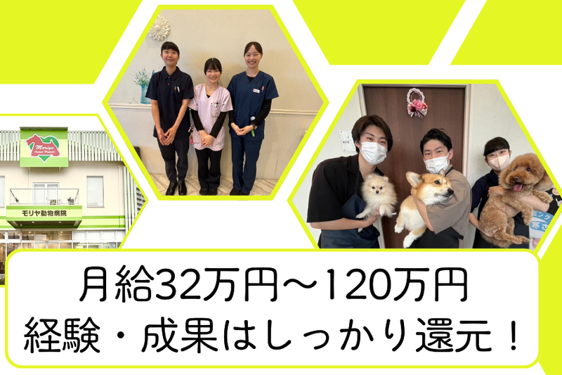 モリヤ動物病院の求人・転職情報