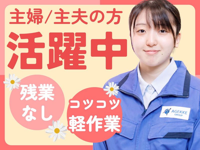 株式会社エイジェックの求人・転職情報