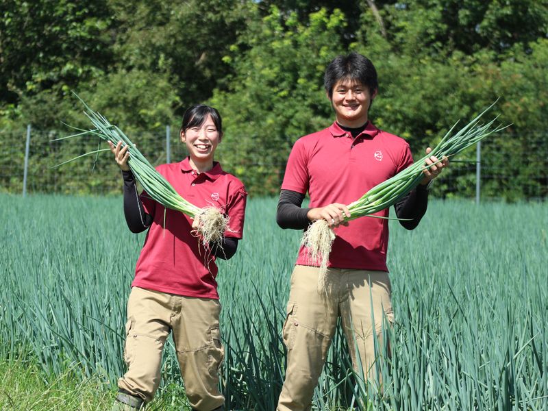 こと京都株式会社　向島工場の求人情報