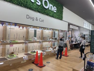 Pet's One 富士宮小泉店の求人・転職情報-04