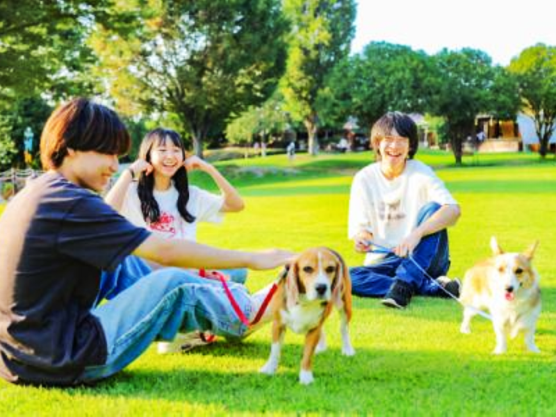 世界の名犬牧場のアルバイト・バイト求人情報-05