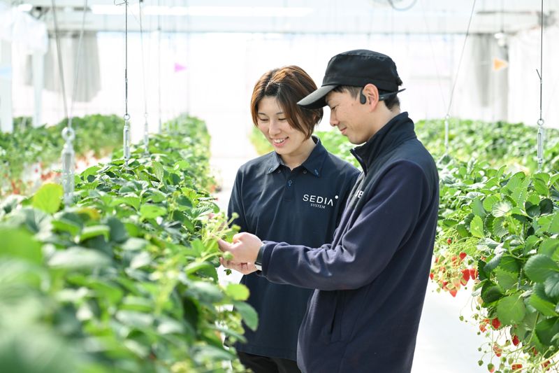 渡辺パイプ株式会社の求人・転職情報