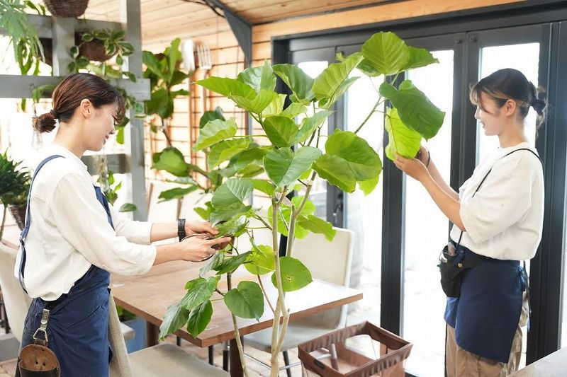 株式会社ユニバーサル園芸社　東京西支店のアルバイト・バイト求人情報-02