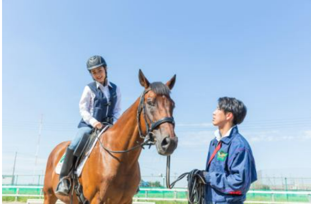 乗馬クラブ クレイン栃木の求人情報