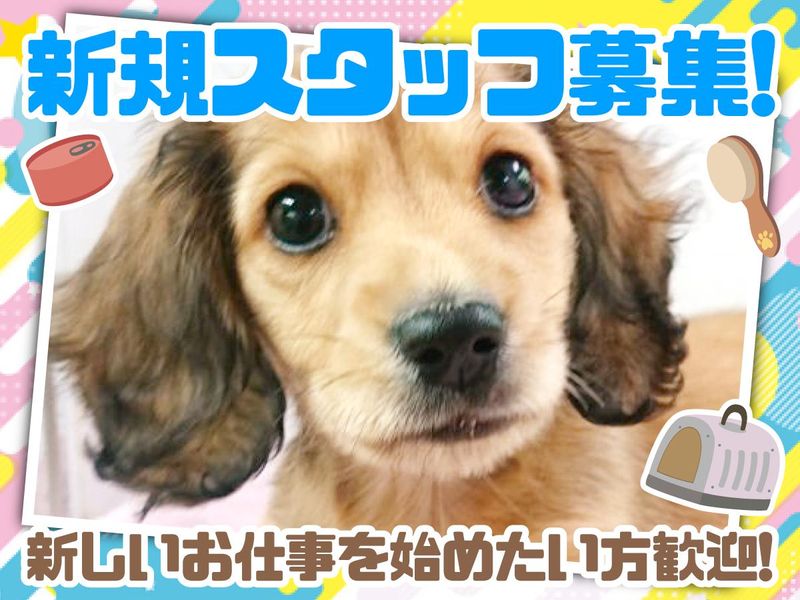 ビバペッツ神戸玉津インター店のアルバイト・バイト求人情報-02