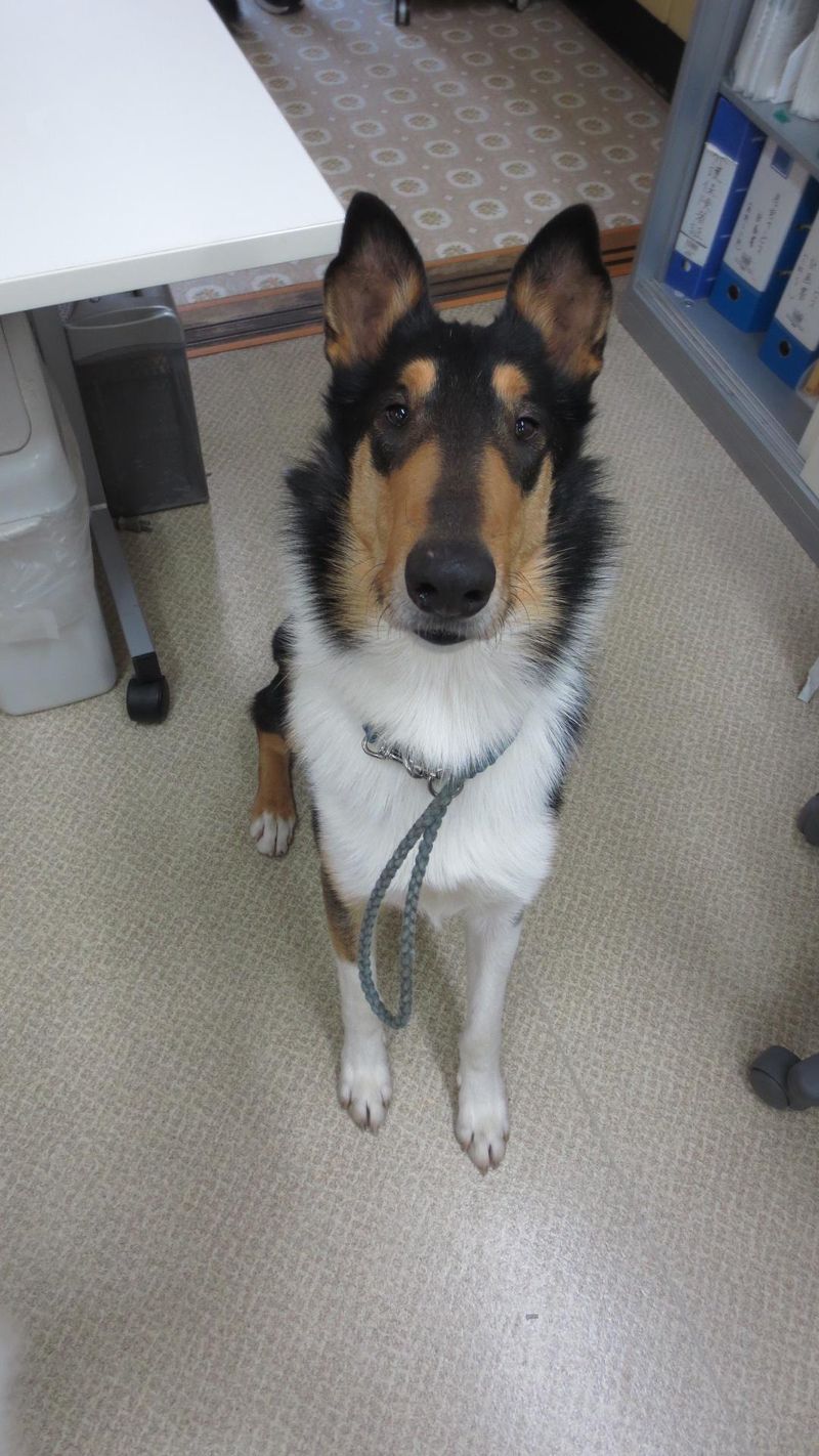 医療法人　髙友会の求人・転職情報