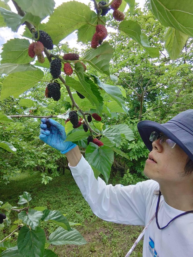 株式会社プローバルの求人・転職情報