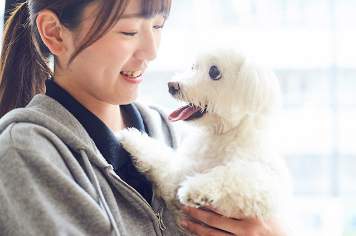 Joli 神楽坂店　株式会社アニマート