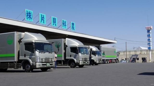 ㈱ディ・エス物流の求人・転職情報