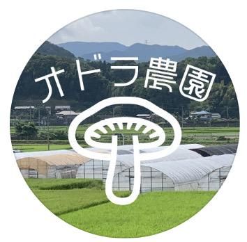 株式会社ヨイショの求人・転職情報