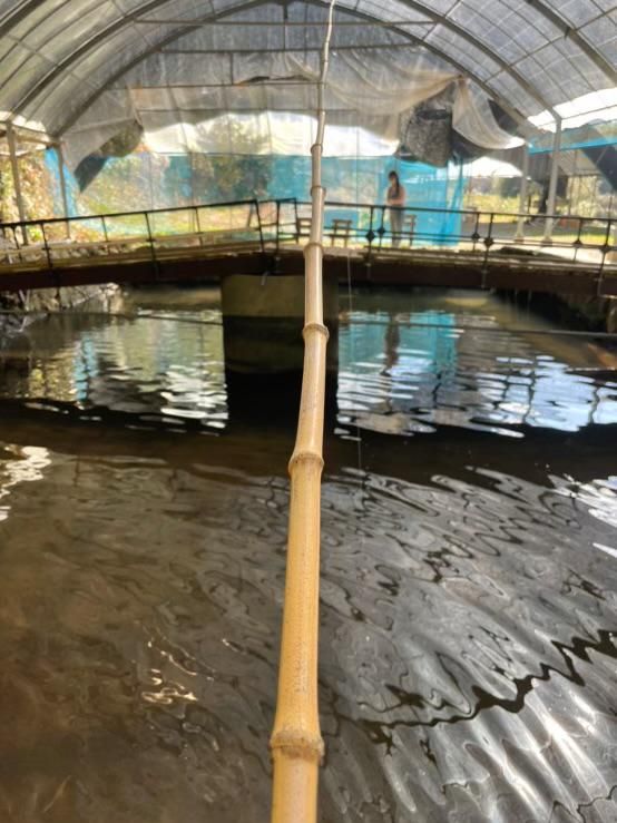 有限会社優峰園フルーツランドのアルバイト・バイト求人情報-03