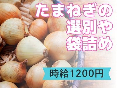 株式会社オープンループパートナーズ