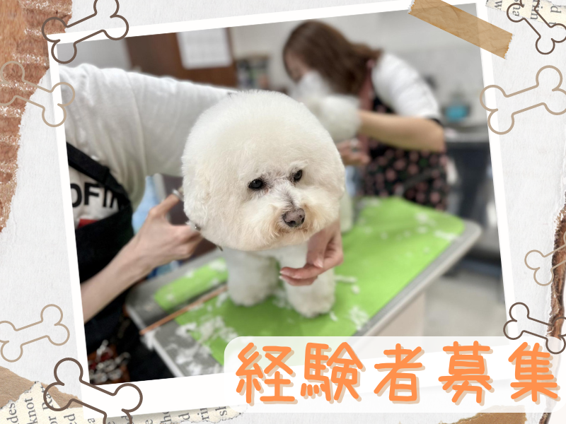 ドッグサロンわんだふるわんの派遣求人情報