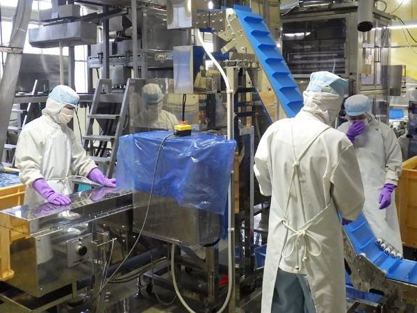 有限会社かぶら食品の求人・転職情報