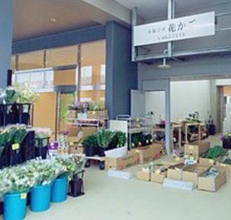 有限会社花かごの求人・転職情報