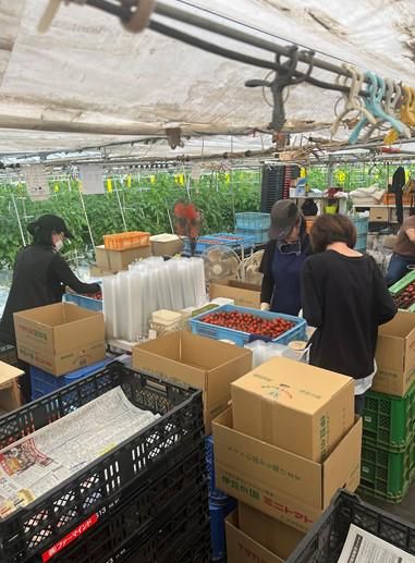 後藤農園のイメージ2