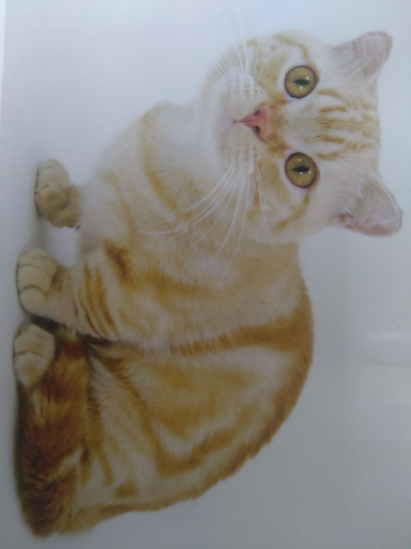 有限会社パピーファームのアルバイト・バイト求人情報-02