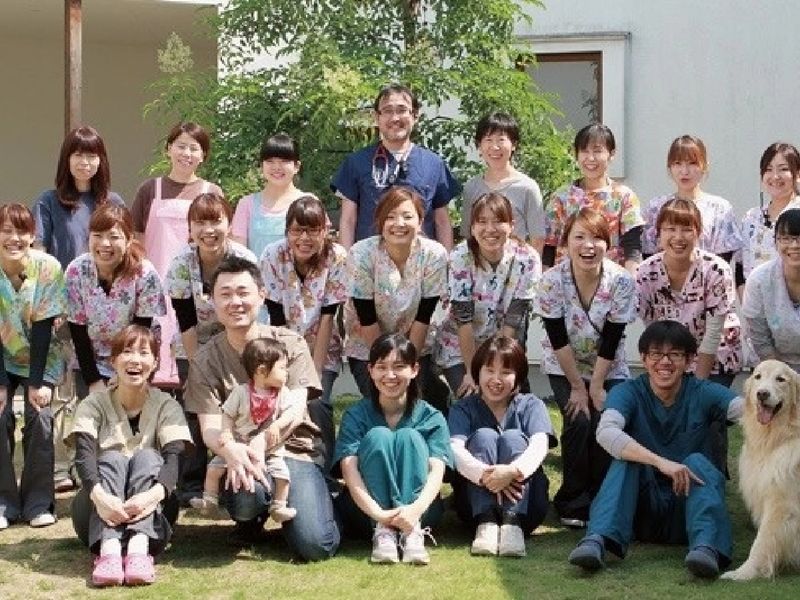 VCA Japan合同会社の求人・転職情報