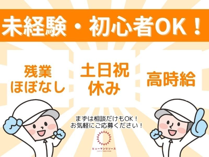デベロップ株式会社 ヒューマンリソースの派遣求人情報
