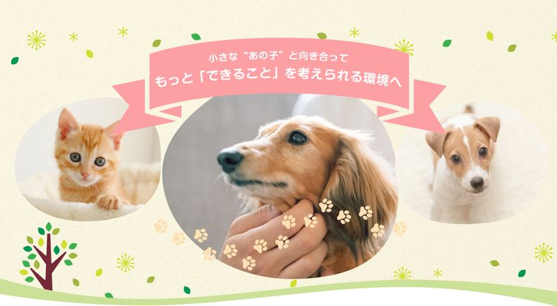 うつのみや動物病院の求人・転職情報
