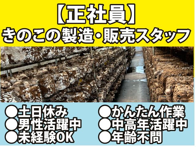 株式会社サンライズの求人・転職情報