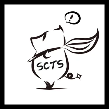 ＳＣＴＳ株式会社の求人・転職情報