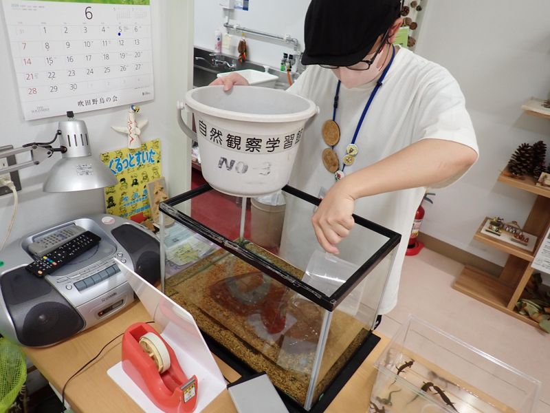 株式会社ＢＢｂｏｘの求人・転職情報
