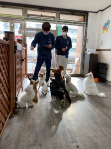 プレイボゥ　向ケ丘遊園店のアルバイト・バイト求人情報-03