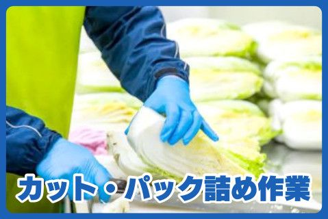 株式会社カネイチ青果物流の求人・転職情報