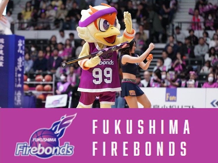 福島スポーツエンタテインメント株式会社の求人・転職情報