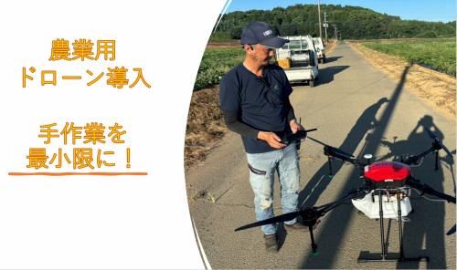 株式会社マルワの求人・転職情報