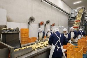 澁谷食品株式会社のアルバイト・バイト求人情報-02
