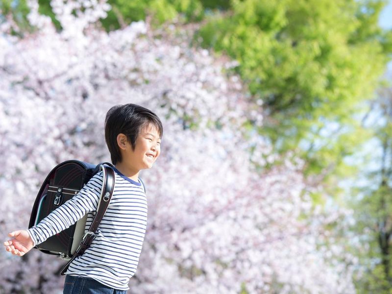 シダックス大新東ヒューマンサービス株式会社-0002の求人・転職情報