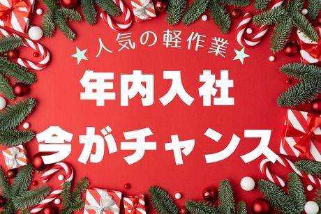 株式会社ヒューマンアイズの求人・転職情報