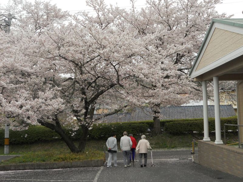 株式会社ＨＯＴＴＯの求人・転職情報