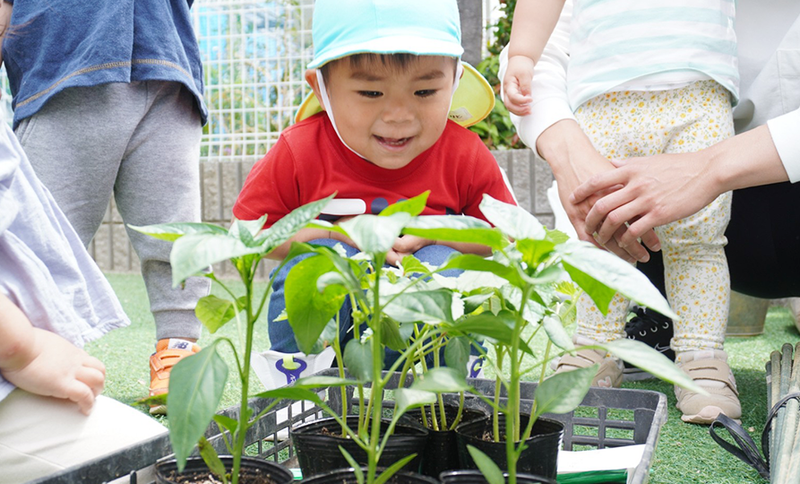 ヒーローズ保育園　浜松東の派遣求人情報